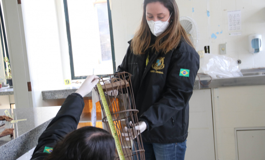 A Seção de Crimes Ambientais, vinculada ao Instituto de Criminalística da Polícia Científica do Paraná, desde a sua criação, em dezembro de 2019, tem atuado com peritos criminais, especialistas na área, com intuito de comprovar a prática de condutas criminosas contra a fauna, a flora e à natureza no geral. - Curitiba, 14/10/2021 - Foto: SESP-PR