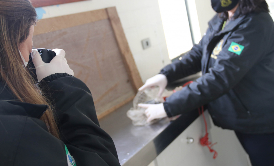 A Seção de Crimes Ambientais, vinculada ao Instituto de Criminalística da Polícia Científica do Paraná, desde a sua criação, em dezembro de 2019, tem atuado com peritos criminais, especialistas na área, com intuito de comprovar a prática de condutas criminosas contra a fauna, a flora e à natureza no geral. - Curitiba, 14/10/2021 - Foto: SESP-PR