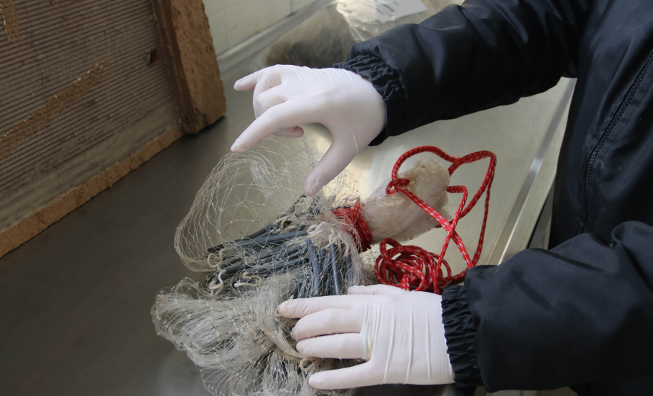 A Seção de Crimes Ambientais, vinculada ao Instituto de Criminalística da Polícia Científica do Paraná, desde a sua criação, em dezembro de 2019, tem atuado com peritos criminais, especialistas na área, com intuito de comprovar a prática de condutas criminosas contra a fauna, a flora e à natureza no geral. - Curitiba, 14/10/2021 - Foto: SESP-PR