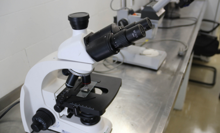 A Seção de Crimes Ambientais, vinculada ao Instituto de Criminalística da Polícia Científica do Paraná, desde a sua criação, em dezembro de 2019, tem atuado com peritos criminais, especialistas na área, com intuito de comprovar a prática de condutas criminosas contra a fauna, a flora e à natureza no geral. - Curitiba, 14/10/2021 - Foto: SESP-PR