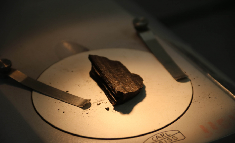 A Seção de Crimes Ambientais, vinculada ao Instituto de Criminalística da Polícia Científica do Paraná, desde a sua criação, em dezembro de 2019, tem atuado com peritos criminais, especialistas na área, com intuito de comprovar a prática de condutas criminosas contra a fauna, a flora e à natureza no geral. - Curitiba, 14/10/2021 - Foto: SESP-PR