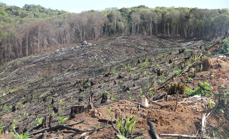 A Seção de Crimes Ambientais, vinculada ao Instituto de Criminalística da Polícia Científica do Paraná, desde a sua criação, em dezembro de 2019, tem atuado com peritos criminais, especialistas na área, com intuito de comprovar a prática de condutas criminosas contra a fauna, a flora e à natureza no geral. - Curitiba, 14/10/2021 - Foto: SESP-PR