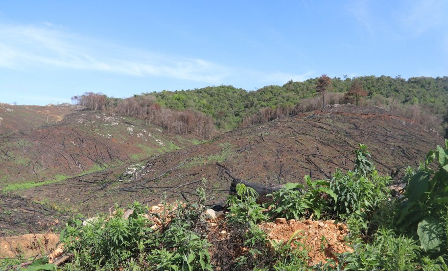 A Seção de Crimes Ambientais, vinculada ao Instituto de Criminalística da Polícia Científica do Paraná, desde a sua criação, em dezembro de 2019, tem atuado com peritos criminais, especialistas na área, com intuito de comprovar a prática de condutas criminosas contra a fauna, a flora e à natureza no geral. - Curitiba, 14/10/2021 - Foto: SESP-PR