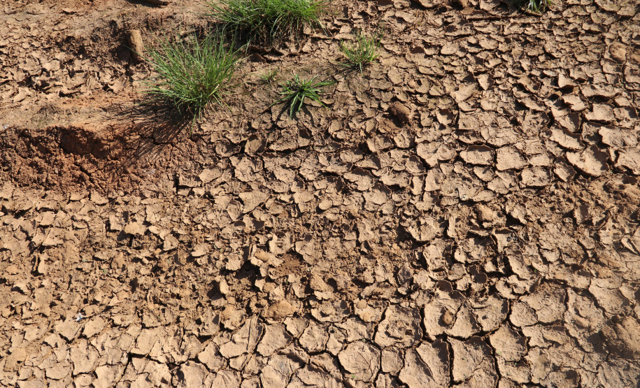 A Seção de Crimes Ambientais, vinculada ao Instituto de Criminalística da Polícia Científica do Paraná, desde a sua criação, em dezembro de 2019, tem atuado com peritos criminais, especialistas na área, com intuito de comprovar a prática de condutas criminosas contra a fauna, a flora e à natureza no geral. - Curitiba, 14/10/2021 - Foto: SESP-PR