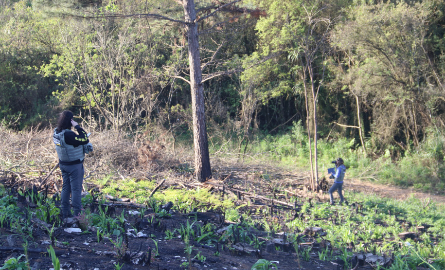 A Seção de Crimes Ambientais, vinculada ao Instituto de Criminalística da Polícia Científica do Paraná, desde a sua criação, em dezembro de 2019, tem atuado com peritos criminais, especialistas na área, com intuito de comprovar a prática de condutas criminosas contra a fauna, a flora e à natureza no geral. - Curitiba, 14/10/2021 - Foto: SESP-PR