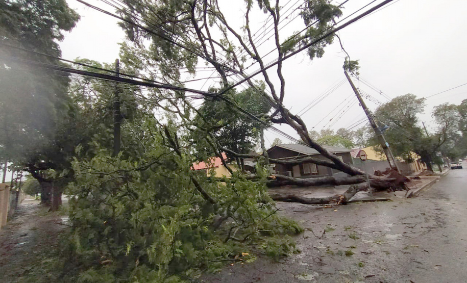 Já passa de 20 mil o total de ocorrências atendidas pela Copel desde o início do temporal da última semana. Somente ontem, cerca de 1,8 mil eletricistas estiveram em campo trabalhando na recomposição dos estragos provocados nas redes elétricas pelo segundo pior evento climático enfrentado pela empresa em toda a sua história.  - Curitiba, 18/10/2021 - Foto: Copel