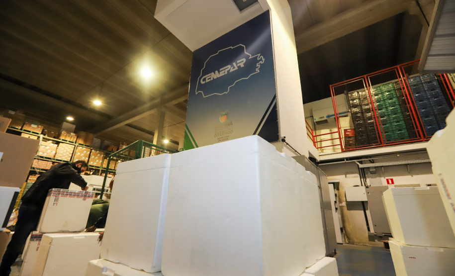 Um novo carregamento com 318.240 doses de vacinas contra a Covid-19 chega no Centro de Medicamentos do Paraná (Cemepar), em Curitiba, na noite desta terça-feira (19).   Desse total, 228.150 doses  Pfizer/BioNTech  são exclusivas para a população de 12 a 17 anos, sem comorbidades ou pertencentes a grupos prioritários.Foto: Geraldo Bubniak/AEN