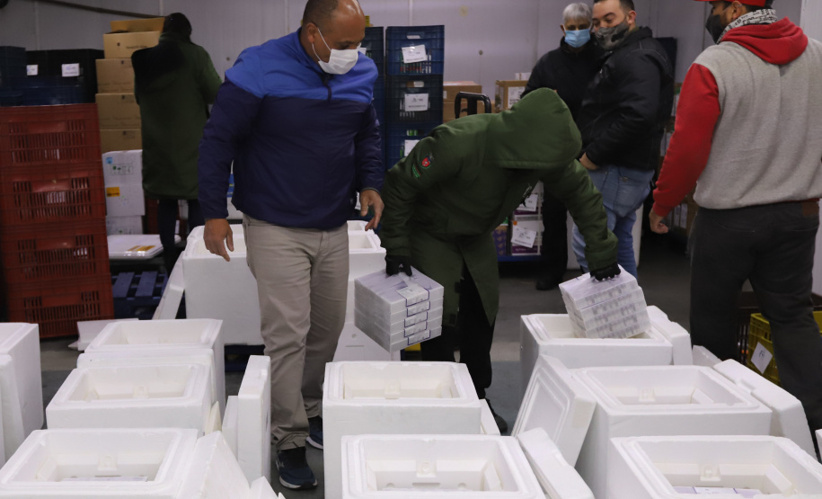 Um novo carregamento com 318.240 doses de vacinas contra a Covid-19 chega no Centro de Medicamentos do Paraná (Cemepar), em Curitiba, na noite desta terça-feira (19).   Desse total, 228.150 doses  Pfizer/BioNTech  são exclusivas para a população de 12 a 17 anos, sem comorbidades ou pertencentes a grupos prioritários.Foto: Geraldo Bubniak/AEN