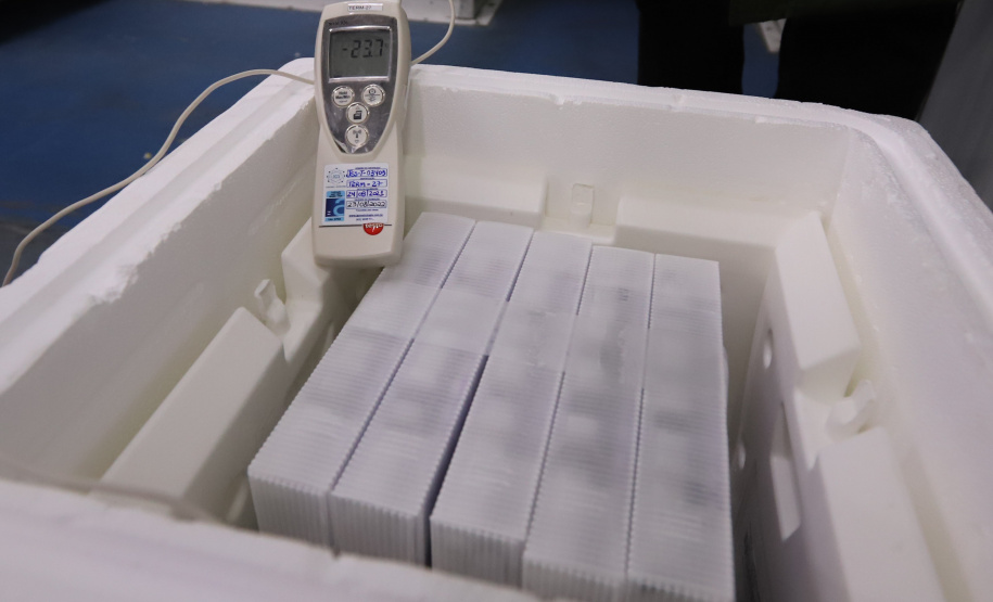 Um novo carregamento com 318.240 doses de vacinas contra a Covid-19 chega no Centro de Medicamentos do Paraná (Cemepar), em Curitiba, na noite desta terça-feira (19).   Desse total, 228.150 doses  Pfizer/BioNTech  são exclusivas para a população de 12 a 17 anos, sem comorbidades ou pertencentes a grupos prioritários.Foto: Geraldo Bubniak/AEN