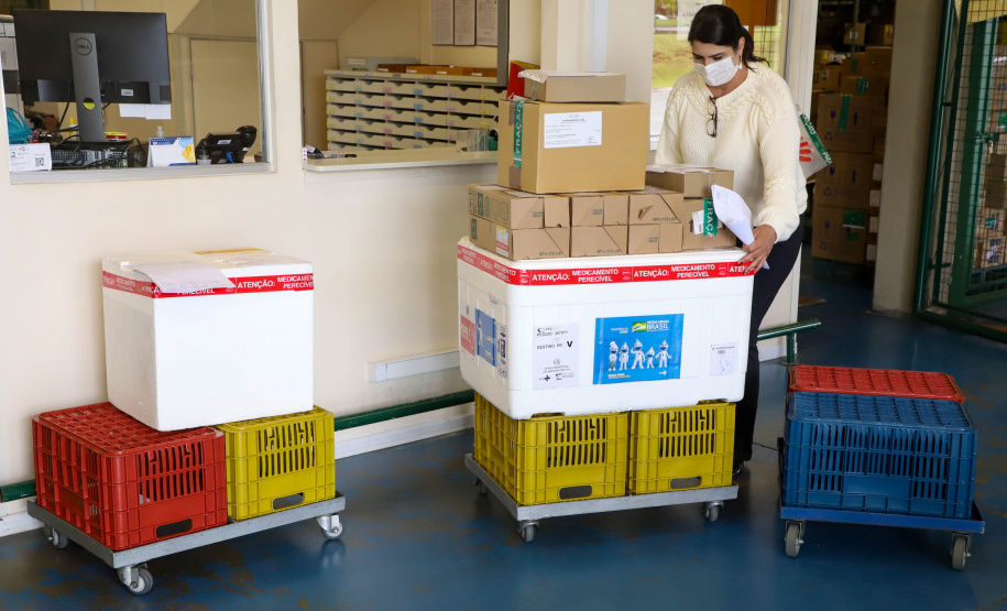 Sesa Foto: Ari Dias/ AEN