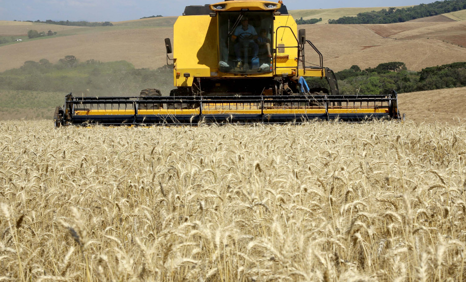 Colheita do trigo avança no Paraná. Foto:Jaelson Lucas / Arquivo AEN