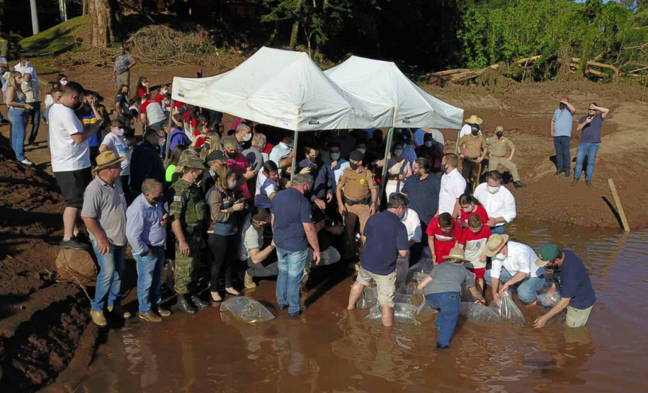 Governador Carlos Massa Ratinho Junior promove a soltura de 20 mil dourados no rio Ivai em Ivatuba. Foto Alessandro Vieira/SEDEST