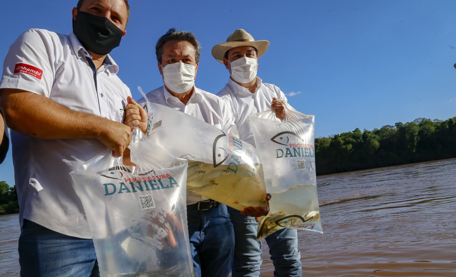 21.10.2021 - Governador Carlos Massa Ratinho Junior promove a soltura de 20 mil dourados no rio Ivai em Ivatuba.
Foto Gilson Abreu/AEN