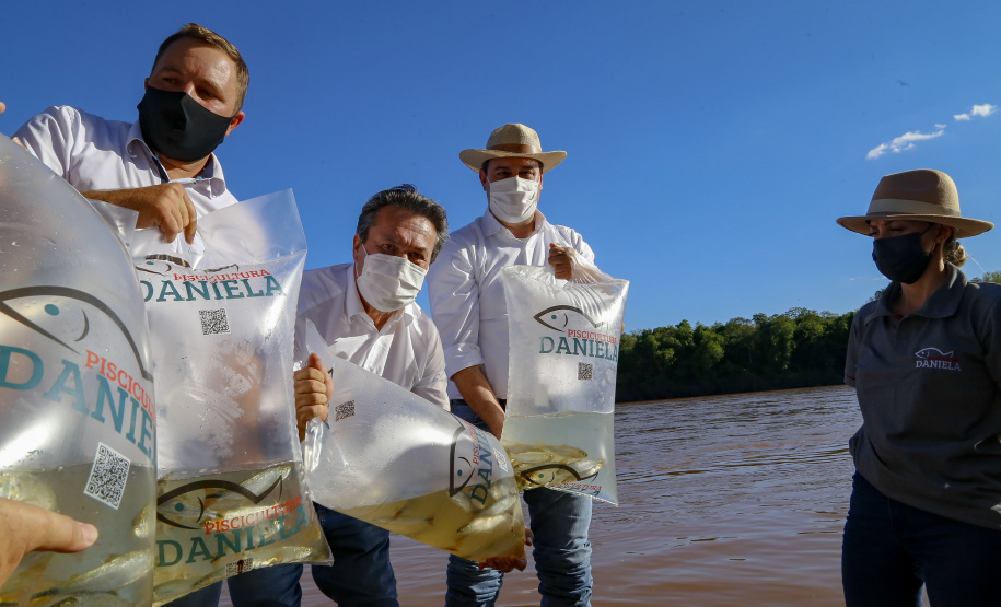 21.10.2021 - Governador Carlos Massa Ratinho Junior promove a soltura de 20 mil dourados no rio Ivai em Ivatuba.
Foto Gilson Abreu/AEN