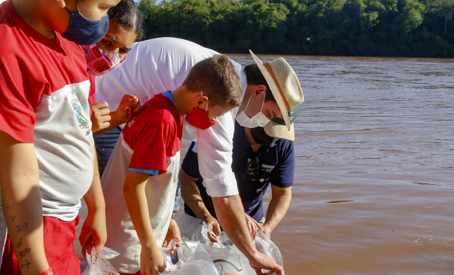 21.10.2021 - Governador Carlos Massa Ratinho Junior promove a soltura de 20 mil dourados no rio Ivai em Ivatuba.
Foto Gilson Abreu/AEN