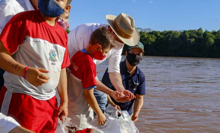 21.10.2021 - Governador Carlos Massa Ratinho Junior promove a soltura de 20 mil dourados no rio Ivai em Ivatuba.
Foto Gilson Abreu/AEN