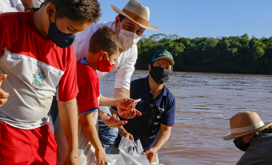 21.10.2021 - Governador Carlos Massa Ratinho Junior promove a soltura de 20 mil dourados no rio Ivai em Ivatuba.
Foto Gilson Abreu/AEN