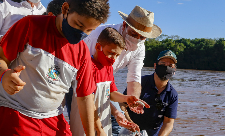 21.10.2021 - Governador Carlos Massa Ratinho Junior promove a soltura de 20 mil dourados no rio Ivai em Ivatuba.
Foto Gilson Abreu/AEN