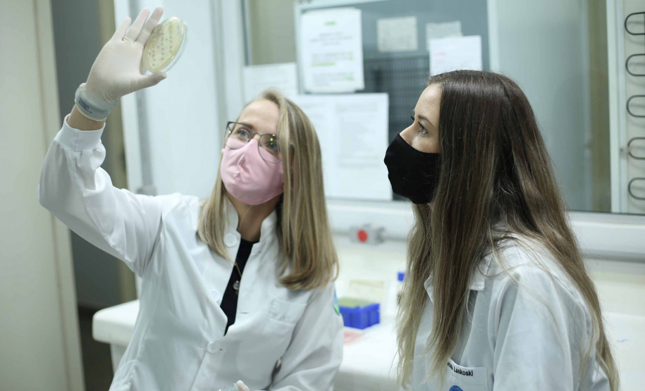 O Governo do Estado, por meio da Superintendência Geral de Ciência, Tecnologia e Ensino Superior (Seti), entrega na próxima quinta-feira (28), no Palácio Iguaçu, às 16h30, o 34º Prêmio Paranaense de Ciência e Tecnologia. Foto:SETI