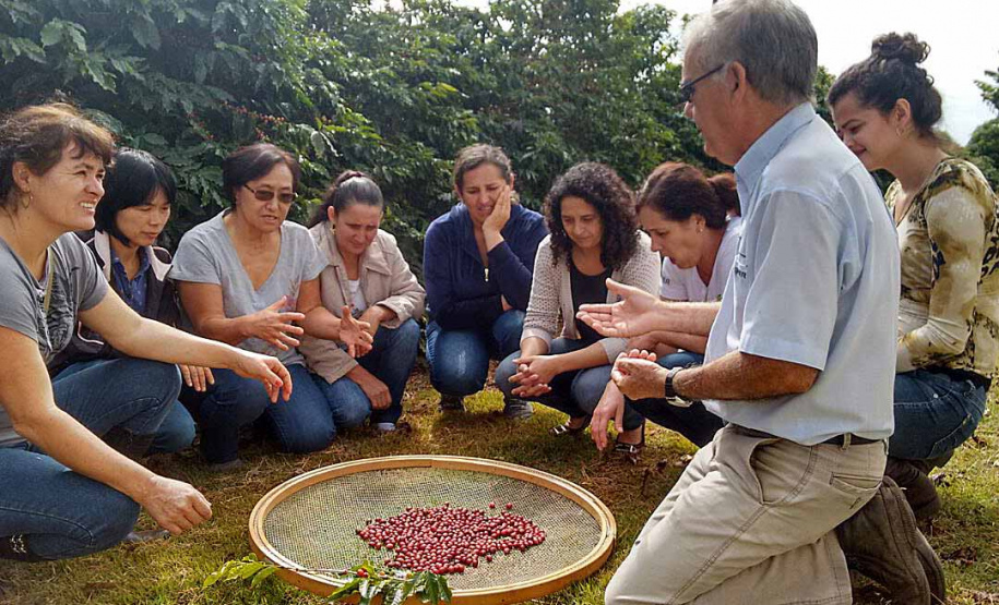 Divulgados os competidores do Concurso Café Qualidade Paraná 2021 . Foto: IDR
