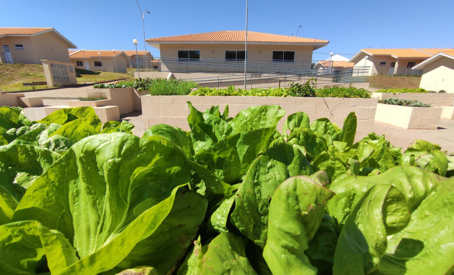 Foto: Jonathan Campos/AEN