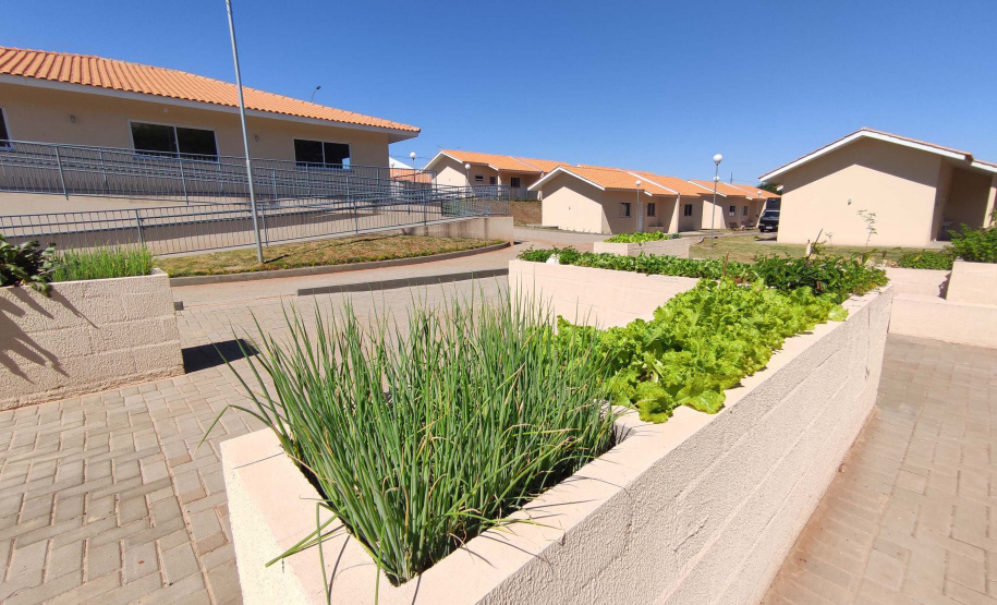 Foto: Jonathan Campos/AEN