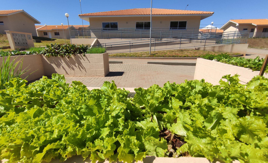 Foto: Jonathan Campos/AEN