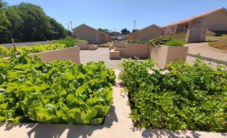 Foto: Jonathan Campos/AEN