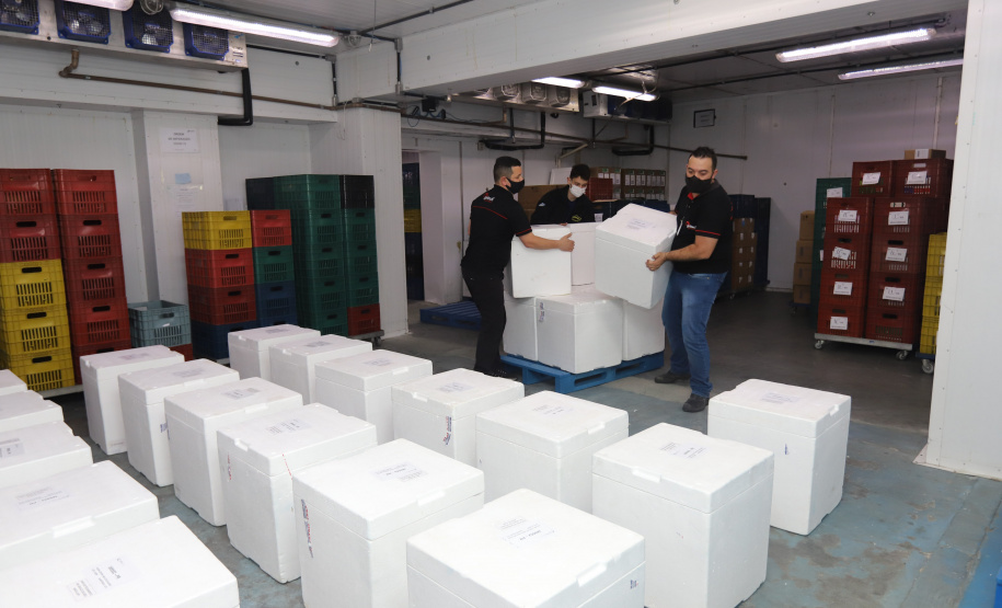 Um novo carregamento  555.750 imunizantes da Pfizer/BioNTech   contra a Covid-19 chegam no Centro de Medicamentos do Paraná (Cemepar), em Curitiba, na nesta sexta-feira (22).  Foto: Geraldo Bubniak/AEN