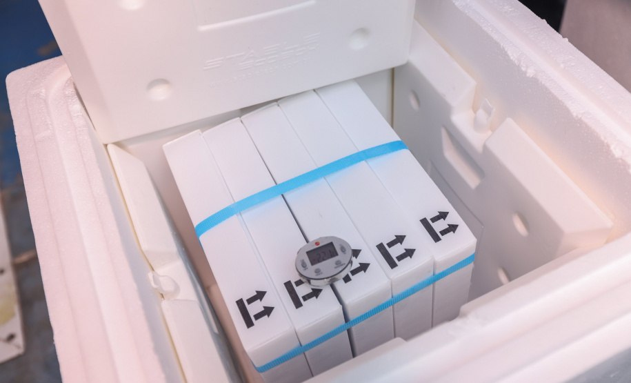 Um novo carregamento  555.750 imunizantes da Pfizer/BioNTech   contra a Covid-19 chegam no Centro de Medicamentos do Paraná (Cemepar), em Curitiba, na nesta sexta-feira (22).  Foto: Geraldo Bubniak/AEN