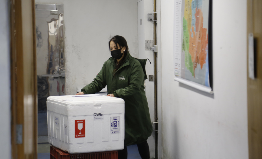 23.11.2021 Distribuição de Vacinas para regionais
Foto Gilson Abreu/AEN