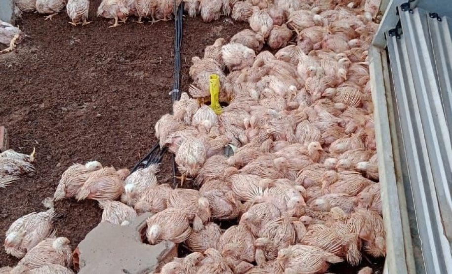 Vendaval e chuva de granizo provocam estragos em 16 municípios do estado.Foto:SEJUF