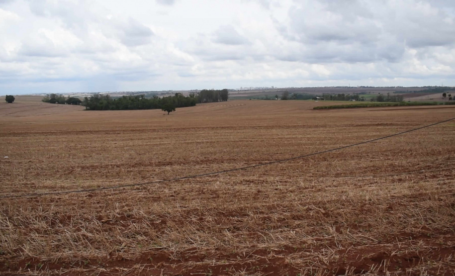 Copel avança na recomposição dos estragos causados pelo temporal. FOTO: Copel