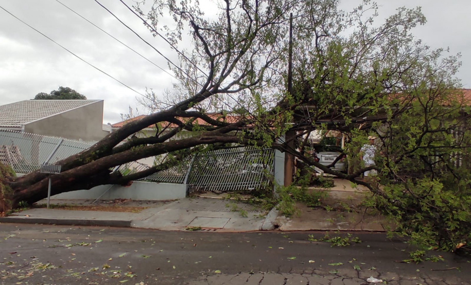 MARINGÁ - Temporais fim de semana - Curitiba, 25/10/2021 - Foto: Defesa Civil do Paraná