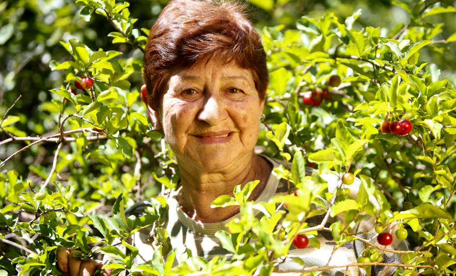 22.11.2021- Produção de acerola em Japurá.
Iracema Dias Rodrigues.
Foto Gilson Abreu/AEN