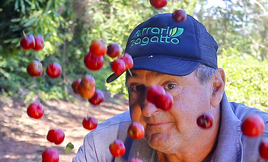 22.11.2021- Produção de acerola em Japurá.
Mauro Aparecido Zani .
Foto Gilson Abreu/AEN