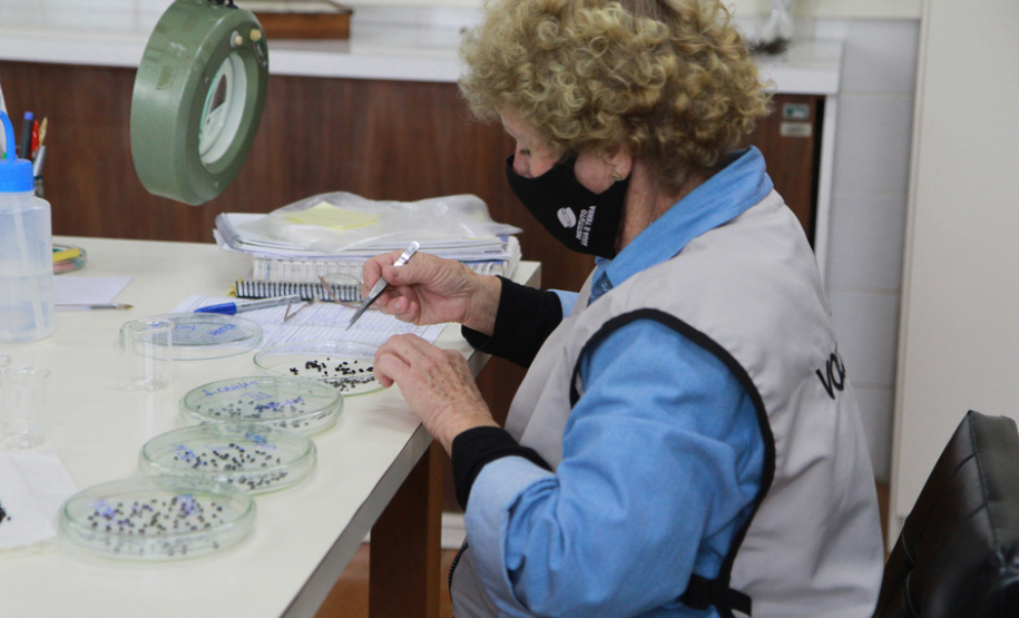 IBFC divulga resultado preliminar do concurso público do IAT  -  Foto: Alessandro Vieira