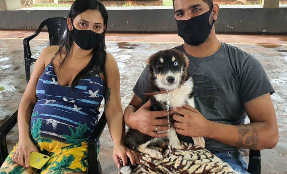 CENTENÁRIO DO SUL  -  O Castramóvel passou por sete municípios neste mês. Ao todo, foram esterilizados 855 cães e gatos, uma média de 147 por município. Nesta quarta e quinta-feira (27 e 28), o programa chega a Bandeirantes, onde são esperados 116 animais.  -  Curitiba, 26/10/2021 - Foto: SEDEST