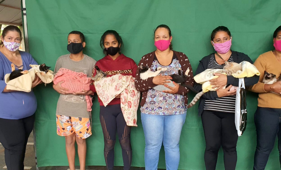 CENTENÁRIO DO SUL  -  O Castramóvel passou por sete municípios neste mês. Ao todo, foram esterilizados 855 cães e gatos, uma média de 147 por município. Nesta quarta e quinta-feira (27 e 28), o programa chega a Bandeirantes, onde são esperados 116 animais.  -  Curitiba, 26/10/2021 - Foto: SEDEST