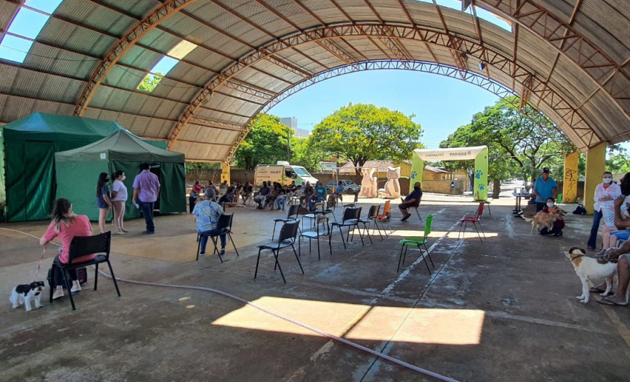 COLORADO -  O Castramóvel passou por sete municípios neste mês. Ao todo, foram esterilizados 855 cães e gatos, uma média de 147 por município. Nesta quarta e quinta-feira (27 e 28), o programa chega a Bandeirantes, onde são esperados 116 animais.  -  Curitiba, 26/10/2021 - Foto: SEDEST