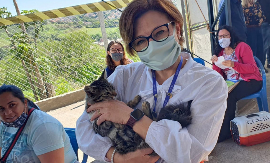 CORNÉLIO PROCÓPIO  -  O Castramóvel passou por sete municípios neste mês. Ao todo, foram esterilizados 855 cães e gatos, uma média de 147 por município. Nesta quarta e quinta-feira (27 e 28), o programa chega a Bandeirantes, onde são esperados 116 animais.  -  Curitiba, 26/10/2021 - Foto: SEDEST