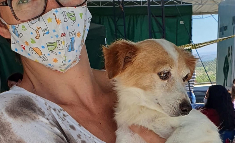 CORNÉLIO PROCÓPIO  -  O Castramóvel passou por sete municípios neste mês. Ao todo, foram esterilizados 855 cães e gatos, uma média de 147 por município. Nesta quarta e quinta-feira (27 e 28), o programa chega a Bandeirantes, onde são esperados 116 animais.  -  Curitiba, 26/10/2021 - Foto: SEDEST