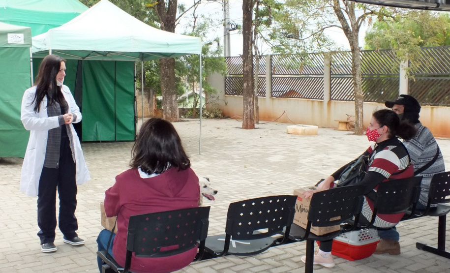 NOVA AMÉRICA DA COLINA -  O Castramóvel passou por sete municípios neste mês. Ao todo, foram esterilizados 855 cães e gatos, uma média de 147 por município. Nesta quarta e quinta-feira (27 e 28), o programa chega a Bandeirantes, onde são esperados 116 animais.  -  Curitiba, 26/10/2021 - Foto: SEDEST