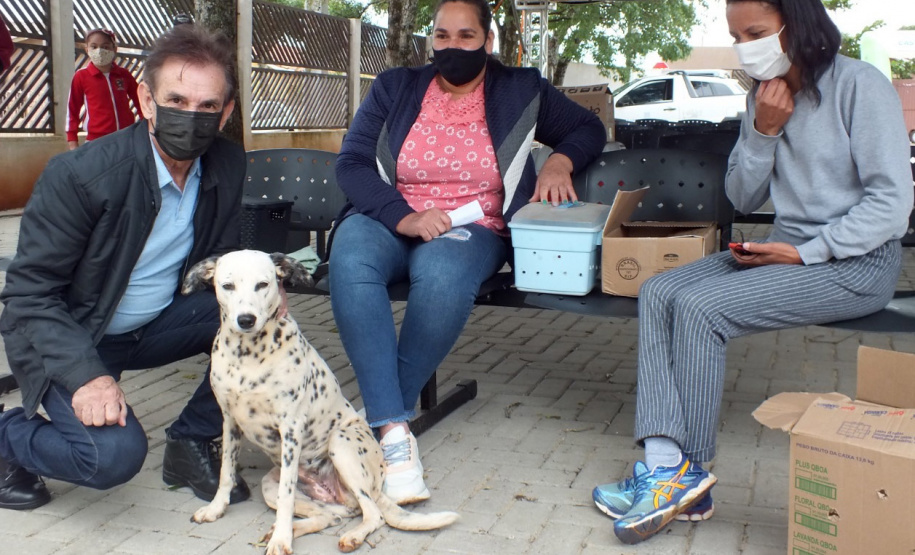 NOVA AMÉRICA DA COLINA -  O Castramóvel passou por sete municípios neste mês. Ao todo, foram esterilizados 855 cães e gatos, uma média de 147 por município. Nesta quarta e quinta-feira (27 e 28), o programa chega a Bandeirantes, onde são esperados 116 animais.  -  Curitiba, 26/10/2021 - Foto: SEDEST