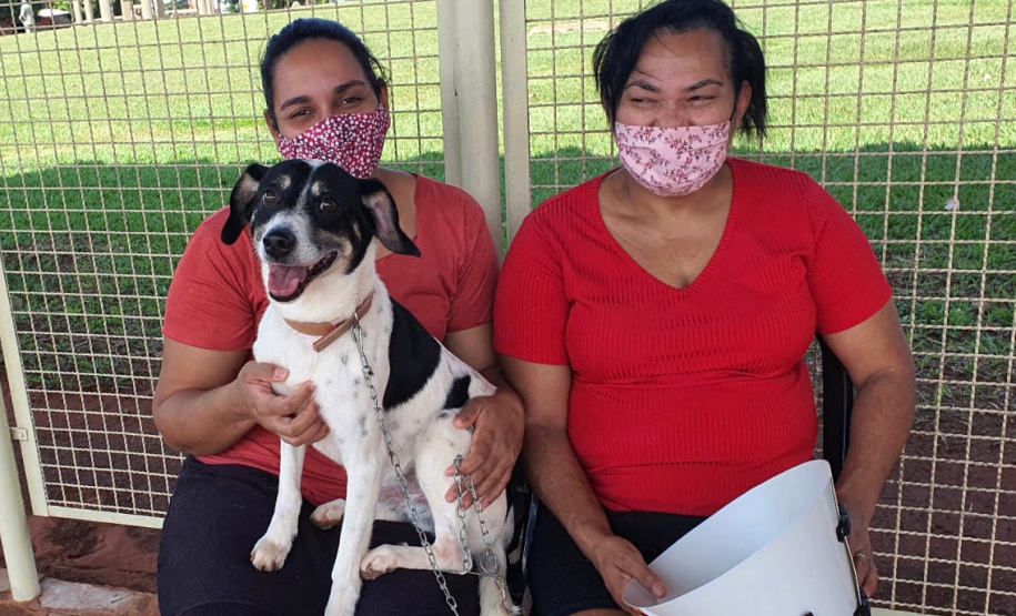 SANTO INÁCIO - O Castramóvel passou por sete municípios neste mês. Ao todo, foram esterilizados 855 cães e gatos, uma média de 147 por município. Nesta quarta e quinta-feira (27 e 28), o programa chega a Bandeirantes, onde são esperados 116 animais.  -  Curitiba, 26/10/2021 - Foto: SEDEST