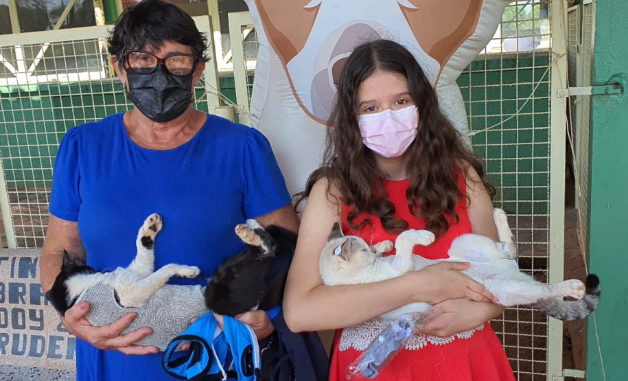 SANTO INÁCIO - O Castramóvel passou por sete municípios neste mês. Ao todo, foram esterilizados 855 cães e gatos, uma média de 147 por município. Nesta quarta e quinta-feira (27 e 28), o programa chega a Bandeirantes, onde são esperados 116 animais.  -  Curitiba, 26/10/2021 - Foto: SEDEST