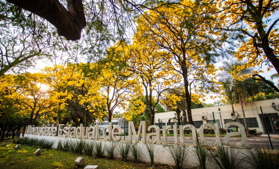 Termina quinta (28) as inscrições para professores temporários na UEM. Foto: UEM