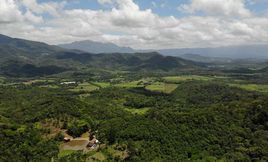 Uma equipe de biólogos que atua nos estudos exigidos pelo projeto da Nova Ferroeste iniciou na semana passada a quarta e última campanha da fauna, que faz o levantamento e identificação das espécies existentes nas áreas do traçado da ferrovia. Espécies endêmicas de anfíbios, anta, onça-parda, aves e animais ameaçados de extinção foram identificados na Serra do Mar, onde foram realizados os trabalhos.Foto: Conrrado Age/AEN