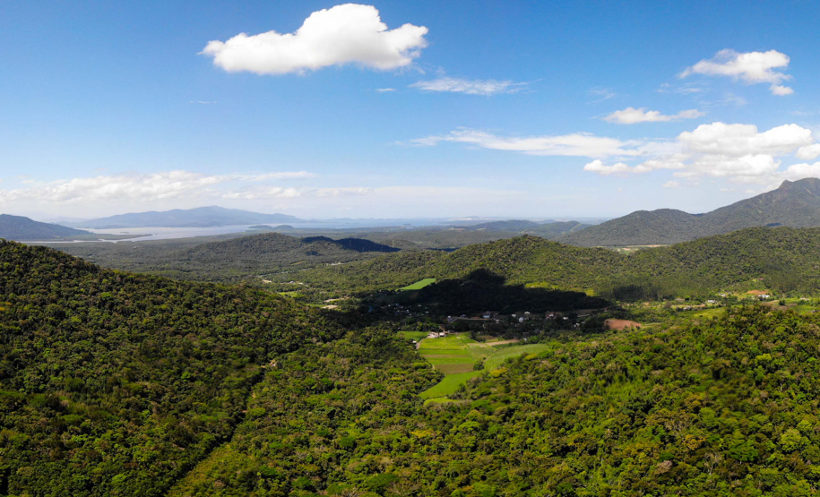 Uma equipe de biólogos que atua nos estudos exigidos pelo projeto da Nova Ferroeste iniciou na semana passada a quarta e última campanha da fauna, que faz o levantamento e identificação das espécies existentes nas áreas do traçado da ferrovia. Espécies endêmicas de anfíbios, anta, onça-parda, aves e animais ameaçados de extinção foram identificados na Serra do Mar, onde foram realizados os trabalhos.Foto: Conrrado Age/AEN