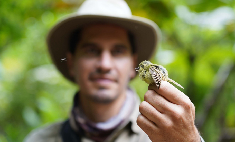 Uma equipe de biólogos que atua nos estudos exigidos pelo projeto da Nova Ferroeste iniciou na semana passada a quarta e última campanha da fauna, que faz o levantamento e identificação das espécies existentes nas áreas do traçado da ferrovia. Espécies endêmicas de anfíbios, anta, onça-parda, aves e animais ameaçados de extinção foram identificados na Serra do Mar, onde foram realizados os trabalhos.Foto: Conrrado Age/AEN